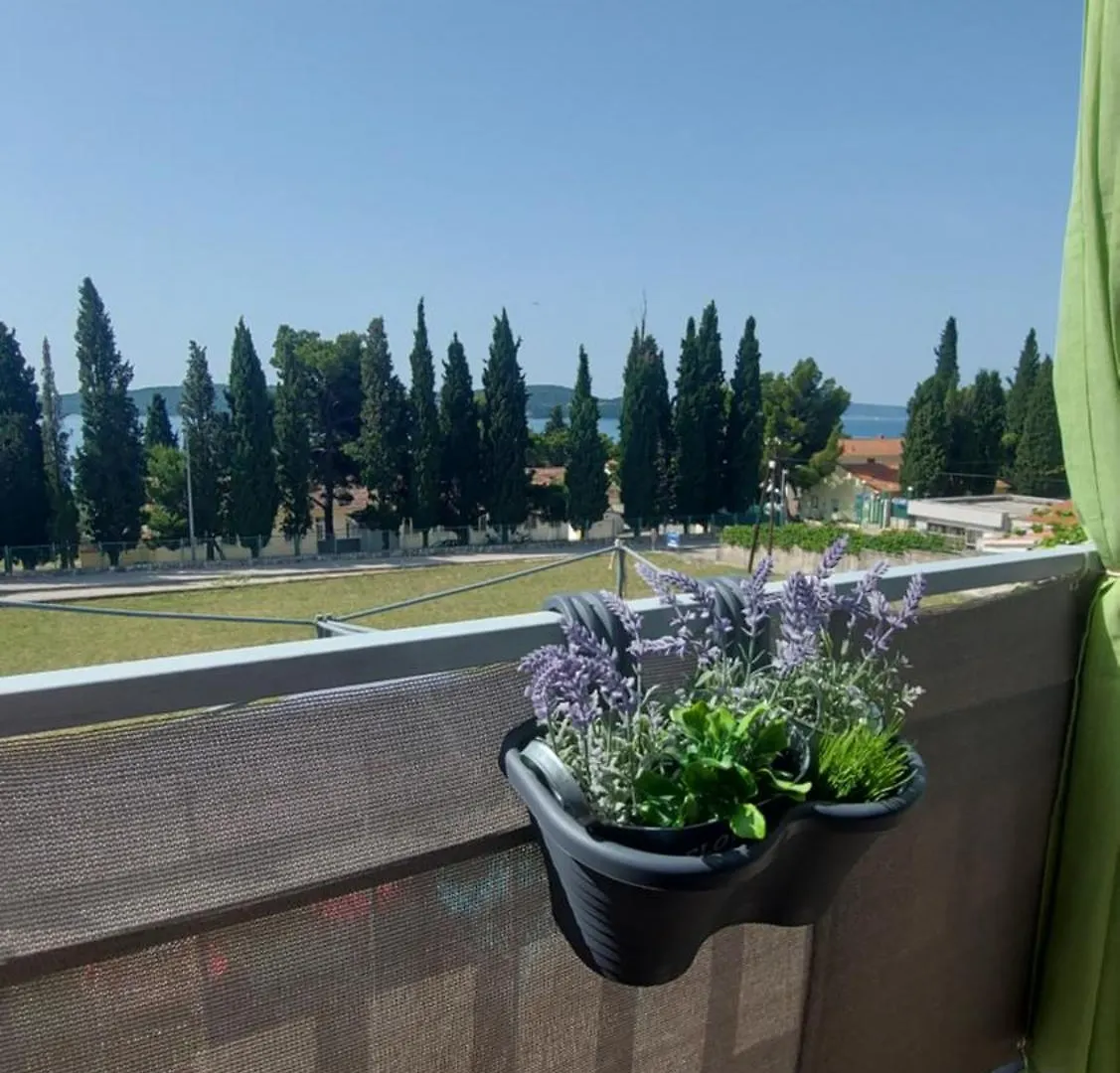 Apartment Apartmani Villa Viola Trogir Croatia